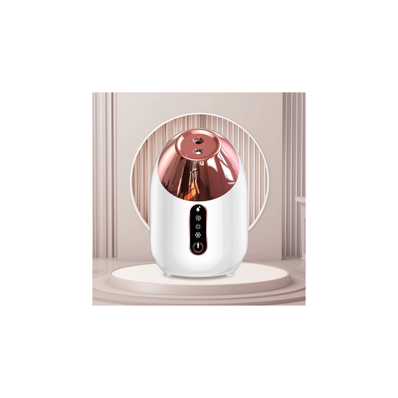 Hot selling Professional Nano Mist Ionic Facial Steamer Facial skin care Mini Sprayer Portable Hot and Cold Facial Steamer